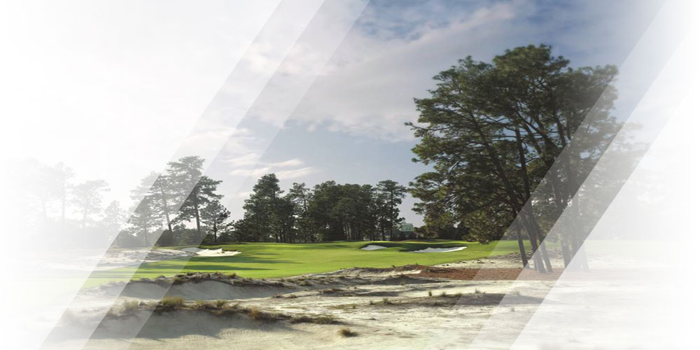 2014 U.S. Open Championship